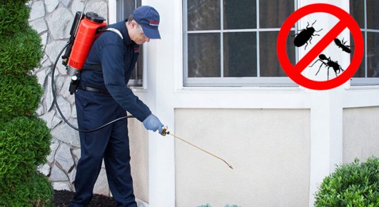 Gercüş Kene İlaçlama böcek ilaçlama ve haşere kontrolü — ilaclama-tr.com